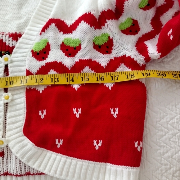 Dolls Kill X Strawberry Shortcake Berry Charms Intarsia Sweater Sz M - Picture 7 of 8